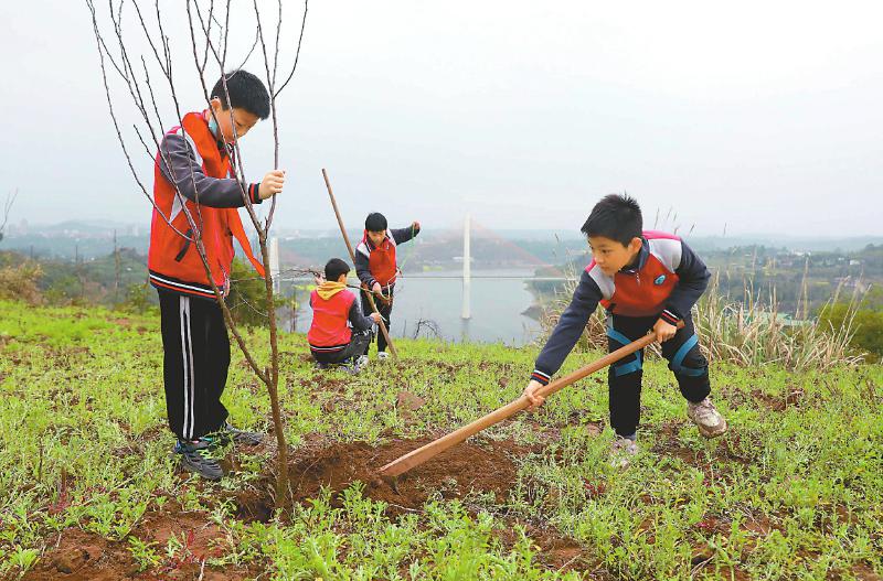 植树.jpg