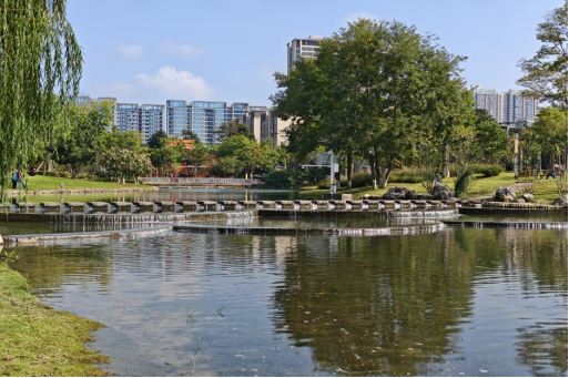 1419d18529aac2bc42933ccf740d0619_1769581615650_22714.png 1419d18529aac2bc42933ccf740d0619_1769581615650_22714.png