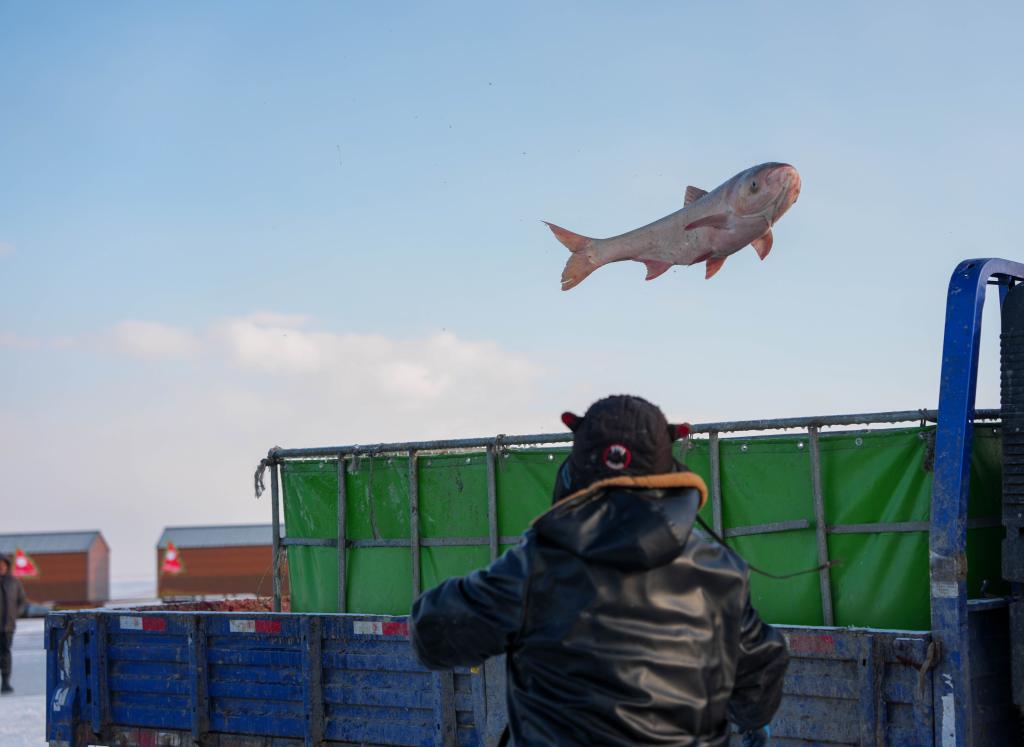 0035604795a8b3a3ba80c8b09c3d2947_2026032049e3e4de2cc144128038510724d247d1_50eac56aed254ef8a8fea82da734c7cb.JPG 0035604795a8b3a3ba80c8b09c3d2947_2026032049e3e4de2cc144128038510724d247d1_50eac56aed254ef8a8fea82da734c7cb.JPG