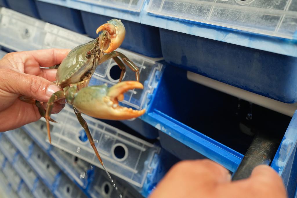 a12d7653f71093836a500d1d9246187a_2026032049e3e4de2cc144128038510724d247d1_7436aaa5184f4abeb625f111b561bc25.JPG a12d7653f71093836a500d1d9246187a_2026032049e3e4de2cc144128038510724d247d1_7436aaa5184f4abeb625f111b561bc25.JPG