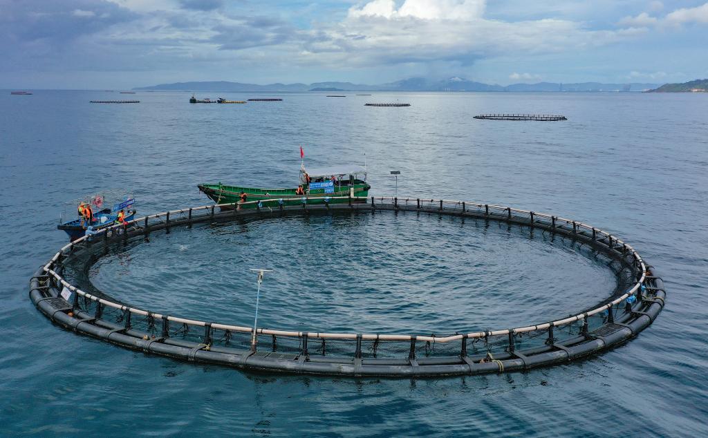 22d3e45946053d8db601e0dde17930c6_2026032049e3e4de2cc144128038510724d247d1_26cc8dc9571b4fbb9de19136909bfc7c.JPG 22d3e45946053d8db601e0dde17930c6_2026032049e3e4de2cc144128038510724d247d1_26cc8dc9571b4fbb9de19136909bfc7c.JPG